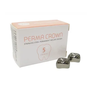 Couronnes en Acier chrome Adultes x5