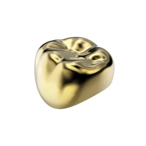 Couronnes en Acier dorées Adultes x5